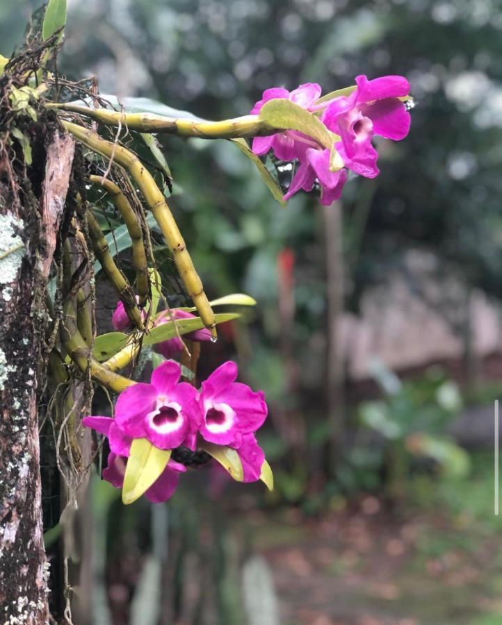 Casario Villa Paraty Ngoại thất bức ảnh